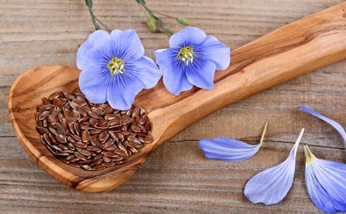 Ang Sky blue flax at ang mga buto nito ay nagbibigay sa iyo ng magaan