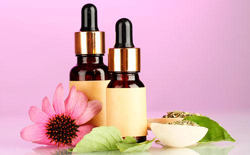 Echinacea Oil