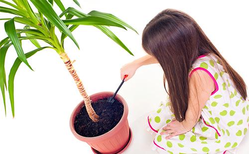 Binubuhos ng batang babae ang mundo sa isang flowerpot