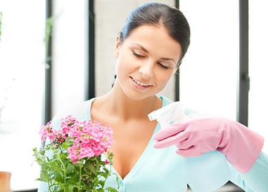 Babae na nag-spray ng isang bulaklak sa isang palayok