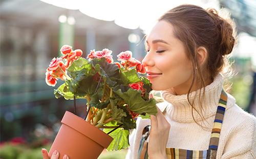 Inhales ng babae ang amoy ng mga bulaklak ng begonia