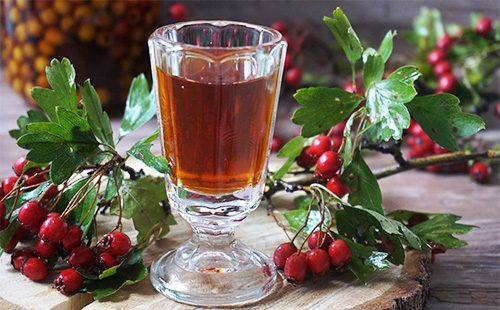 Makulayan ng mga hawthorn berries