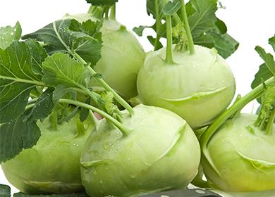 Kohlrabi repolyo