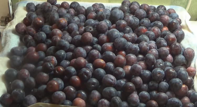 Patuyuin ang mga hugasan na plum sa isang tuwalya.