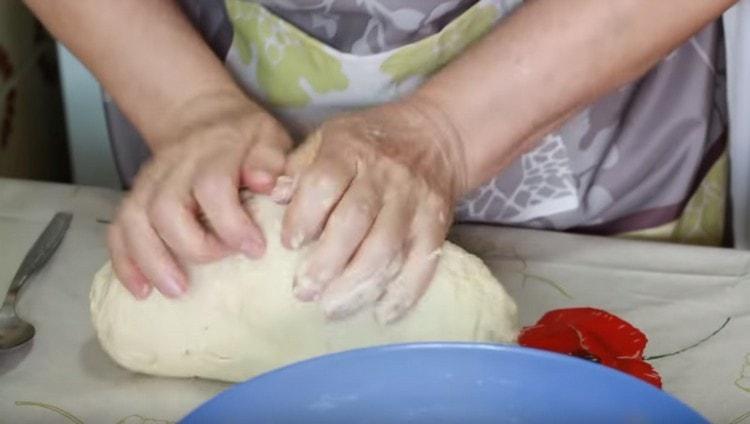 Knead ang kuwarta, dapat itong maging makinis at nababanat.