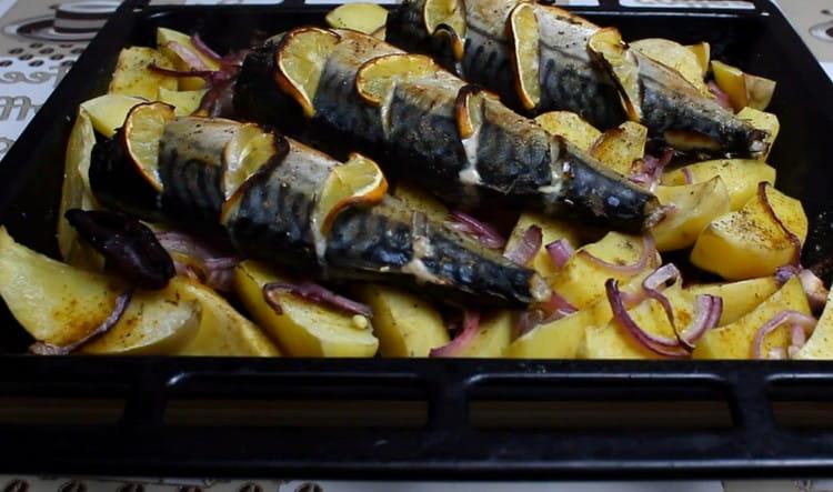 Ang Mackerel sa oven na may mga patatas, na niluto ayon sa recipe na ito, ay isang kahanga-hangang buong ulam.