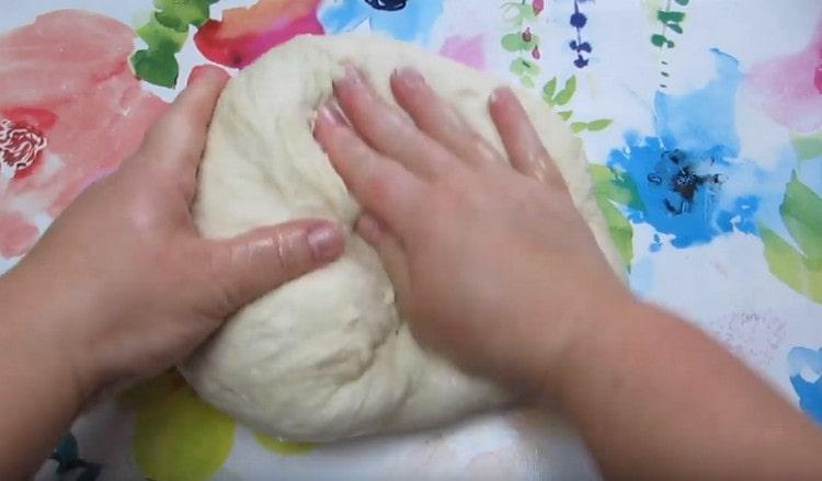 Pagkatapos ay ilagay ang kuwarta sa isang mesa na greased na may langis ng gulay at knead.