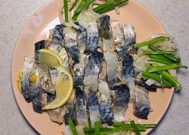 Mackerel sagudai - isang nakapagpapalusog, masarap at malusog na ulam