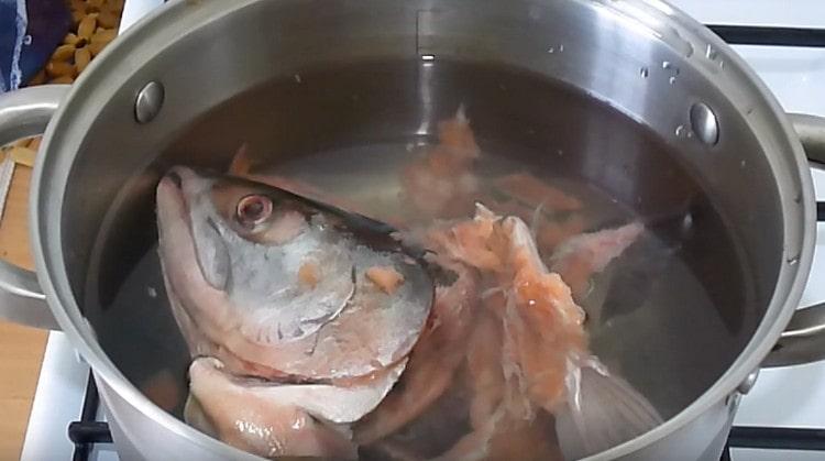 Inilalagay namin ang mga isda sa isang kasirola upang lutuin.