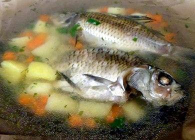 Pag-aplay ng tainga mula sa crucian carp: naghahanda kami ayon sa hakbang-hakbang na recipe gamit ang isang larawan.