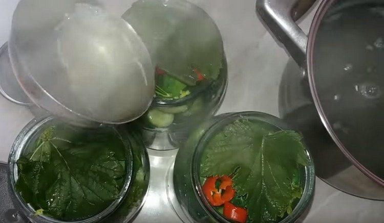 Muli, punan ang mga lata ng mga pipino na may tubig na kumukulo at iwanan upang tumayo sa ilalim ng lids.