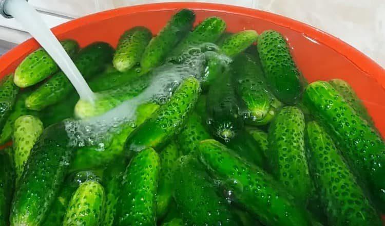 dapat na ibabad muna sa tubig ang mga pipino.