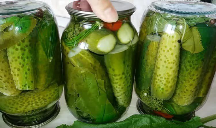 Tulad ng nakikita mo, ang pag-aatsara ng mga pipino sa mga garapon ng litro ay hindi napakahirap.