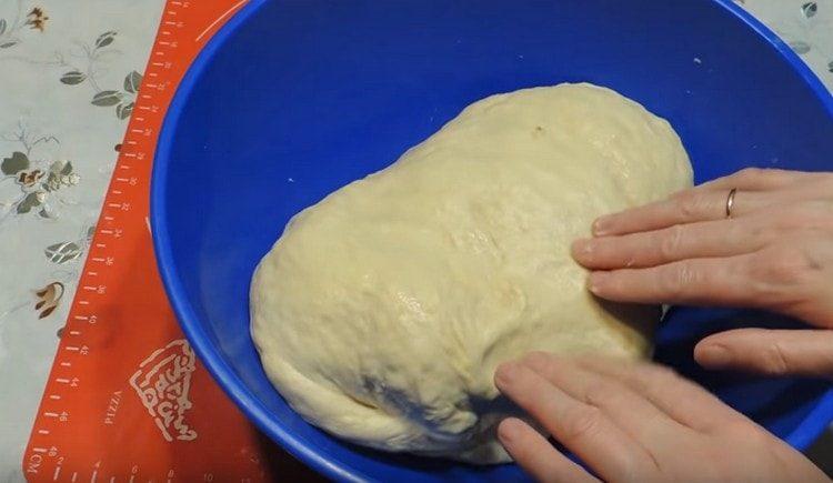 Knead ang malambot na kuwarta.