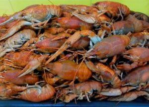 kung paano lutuin ang crayfish nang perpekto