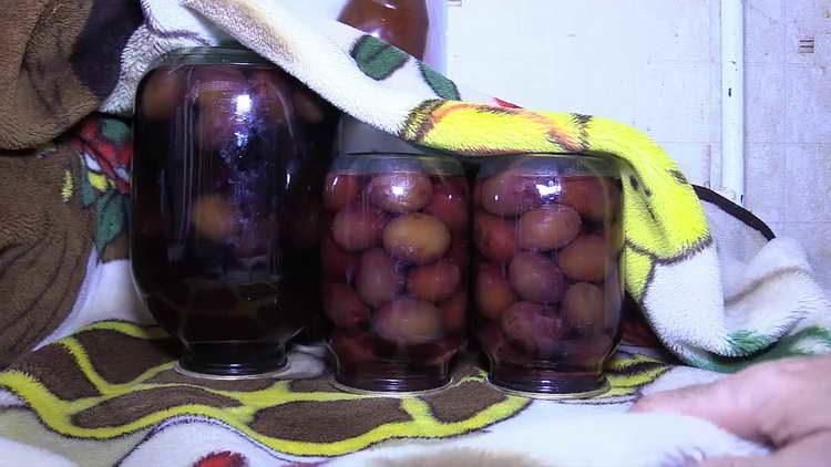 mga plum sa syrup